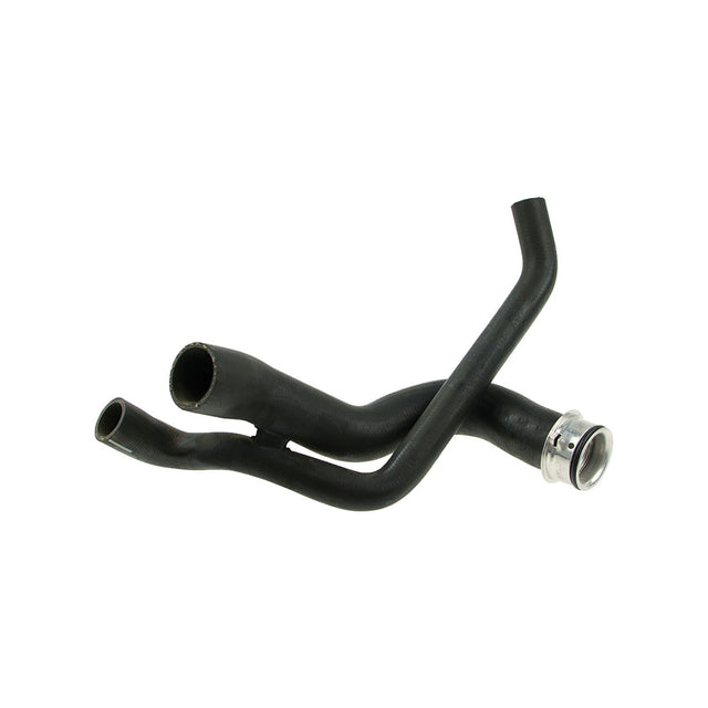 HOSES